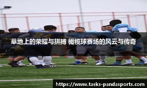 草地上的荣耀与拼搏 橄榄球赛场的风云与传奇